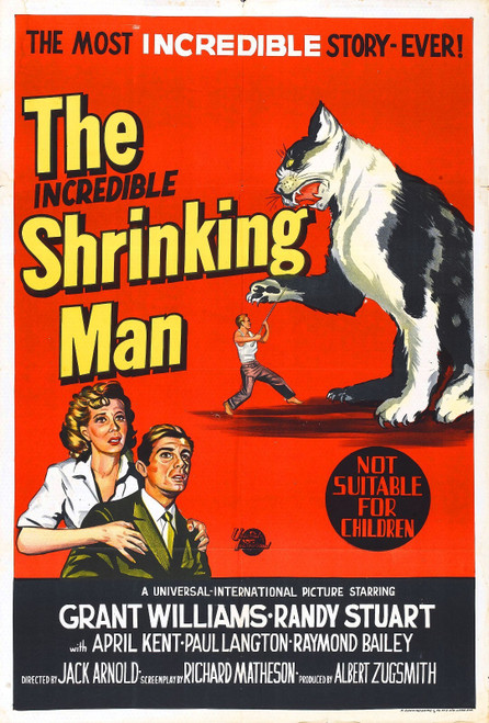 Incredible Shrinking Man 05 Poster Canvas Movie Film Print A0 A1 A2 A3 A4 A5 A6
