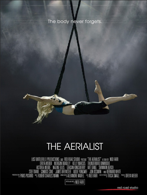The Aerialist (2020)_0 Poster Canvas Movie Film Print A0 A1 A2 A3 A4 A5 A6 Art W
