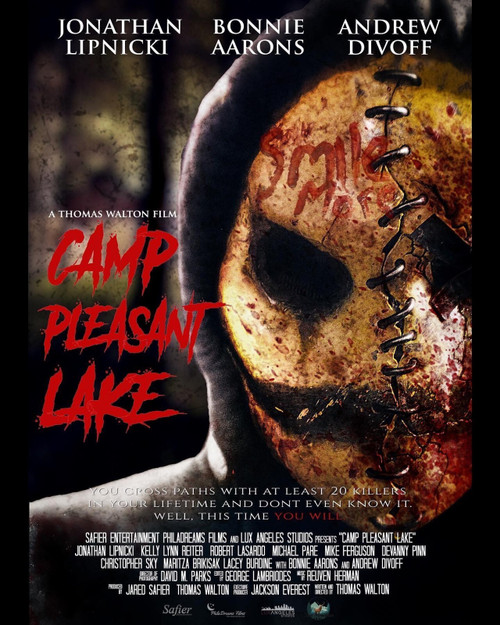 camp-pleasant-lake_rdrg7aek Poster Canvas Movie Film Print A0 A1 A2 A3 A4 A5 A6
