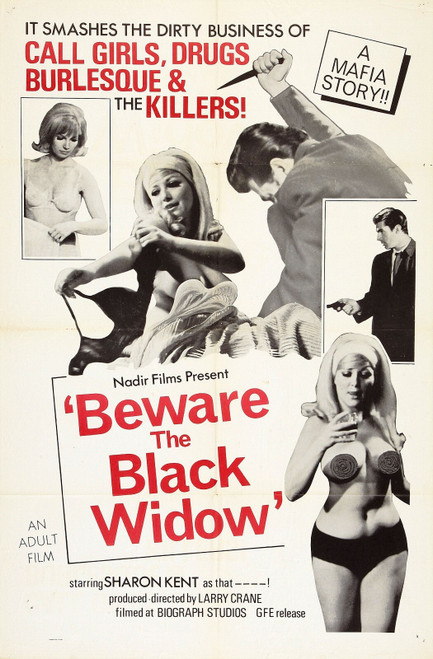 Beware Black Widow 01 Poster Canvas Movie Film Print A0 A1 A2 A3 A4 A5 A6 Art Wa