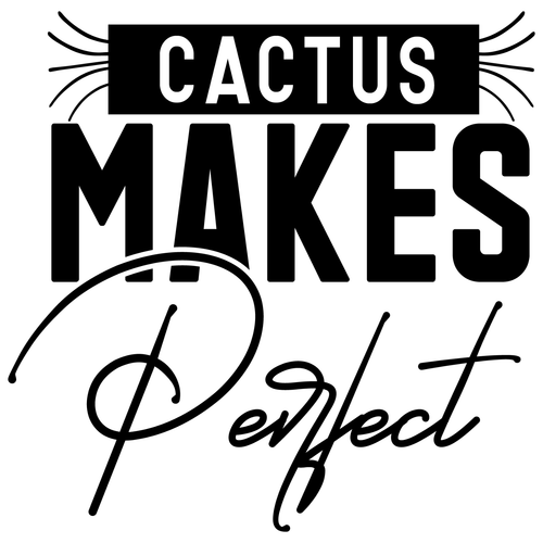 Cactus Makes Perfect-01 (3) Poster Canvas Movie Film Print A0 A1 A2 A3 A4 A5 A6