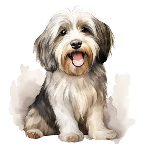 Tibetan Terrier (4) Poster Canvas Movie Film Print A0 A1 A2 A3 A4 A5 A6 Art Wall