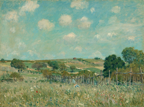 Alfred Sisley Meadow 1975 Green Field Scenery Poster Canvas Movie Film Print A0