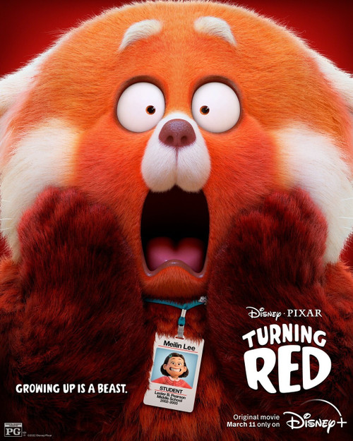 Turning Red (2022)_10 Poster Canvas Movie Film Print A0 A1 A2 A3 A4 A5 A6 Art Wa