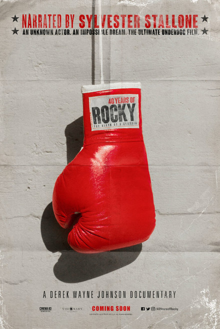 40 Years of Rocky_ The Birth of a Classic (2020)_1 Movie Film Poster Canvas icon