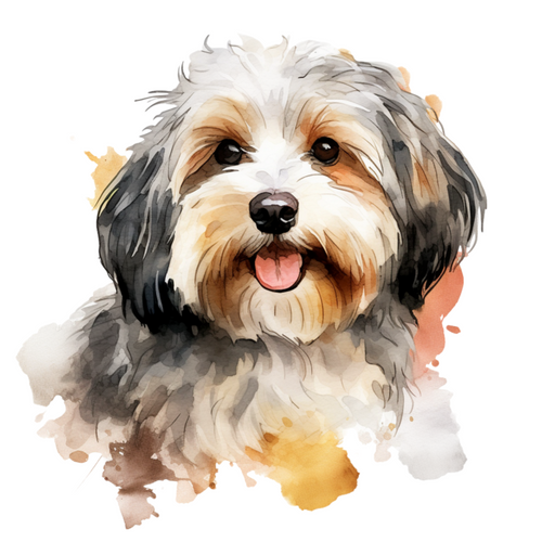 Havanese (4) Poster Canvas Print Art Painting Decor Reprint wall A0 A1 A2 A3 A4