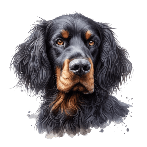 204 Gordon Setter Poster Canvas Movie Film Print A0 A1 A2 A3 A4 A5 A6 Art Wall D