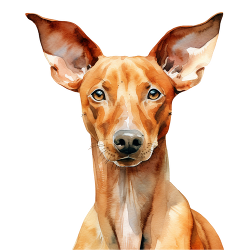 Pharaoh Hound (4) Poster Canvas Movie Film Print A0 A1 A2 A3 A4 A5 A6 Art Wall D