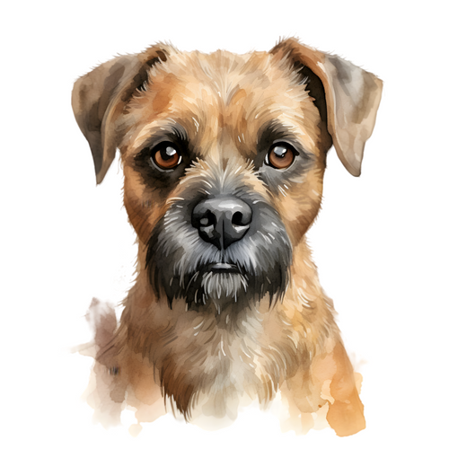 Border Terrier (2) Poster Canvas Movie Film Print A0 A1 A2 A3 A4 A5 A6 Art Wall