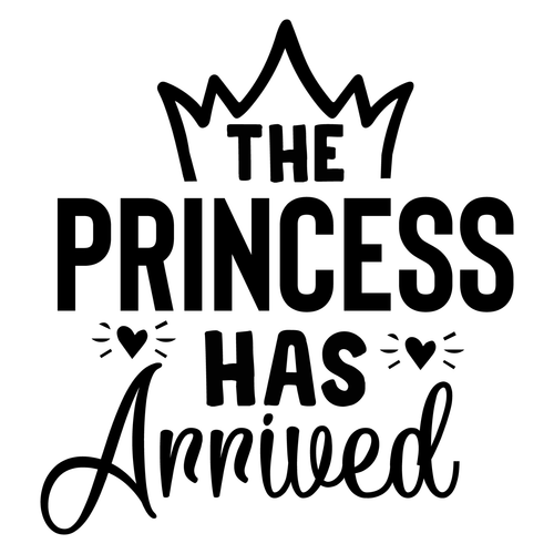The Princess Has Arrived-01 (2) Poster Canvas Movie Film Print A0 A1 A2 A3 A4 A5