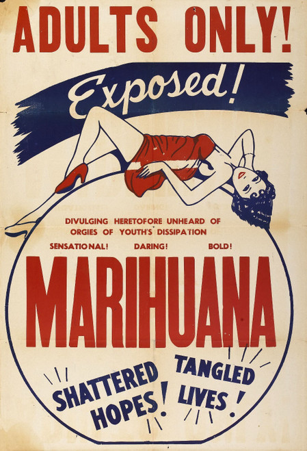 Marihuana 02 Poster Canvas Print Art Painting Decor Reprint wall A0 A1 A2 A3 A4