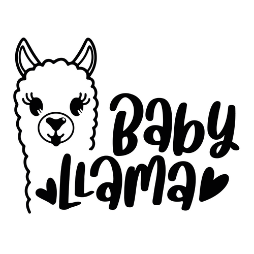 Baby Llama (2) Poster Canvas Movie Film Print A0 A1 A2 A3 A4 A5 A6 Art Wall Deco