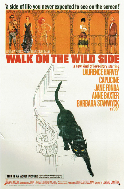 Walk On The Wild Side- Us 1962 Poster Canvas Movie Film Print A0 A1 A2 A3 A4 A5