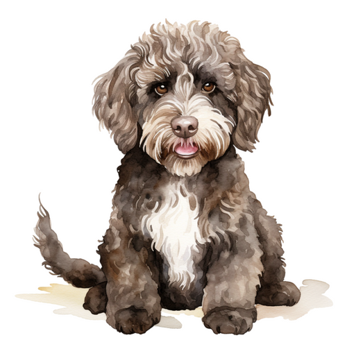 Spanish Water Dog (4) Poster Canvas Movie Film Print A0 A1 A2 A3 A4 A5 A6 Art Wa