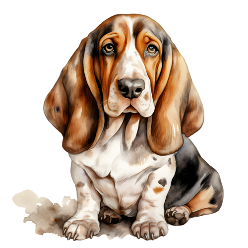 Basset Hound (2) Poster Canvas Movie Film Print A0 A1 A2 A3 A4 A5 A6 Art Wall De