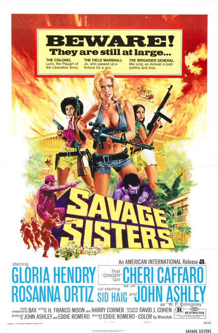 Savage Sisters 01 Poster Canvas Movie Film Print A0 A1 A2 A3 A4 A5 A6 Art Wall D