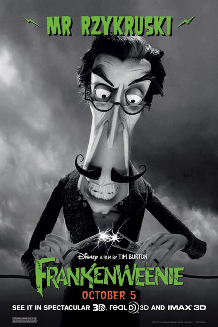 Frankenweenie (2012)_8 Movie Film Poster Canvas iconic design