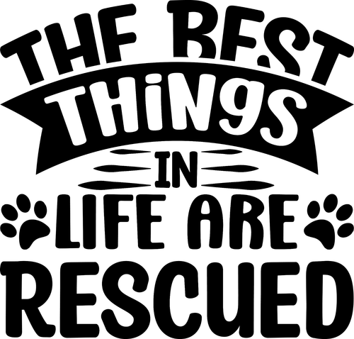 the Best Things In Life Are Rescued (2) Poster Canvas Movie Film Print A0 A1 A2