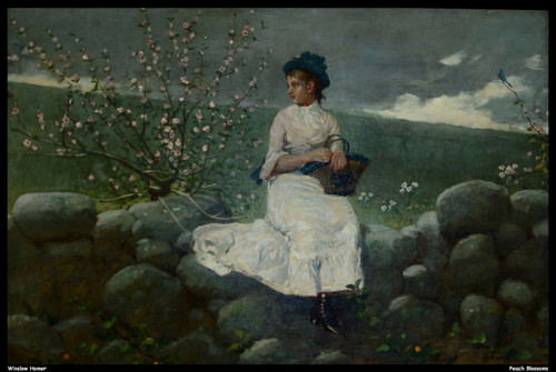 winslow-homer---peach-blossoms--jpb_20859818789_o(1) Poster Canvas Movie Film Pr