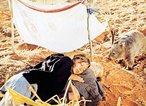 The Walkabout 1971 (3) Poster Canvas Movie Film Print A0 A1 A2 A3 A4 A5 A6 Art