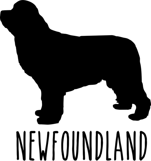 newfoundland (2) Poster Canvas Movie Film Print A0 A1 A2 A3 A4 A5 A6 Art Wall De