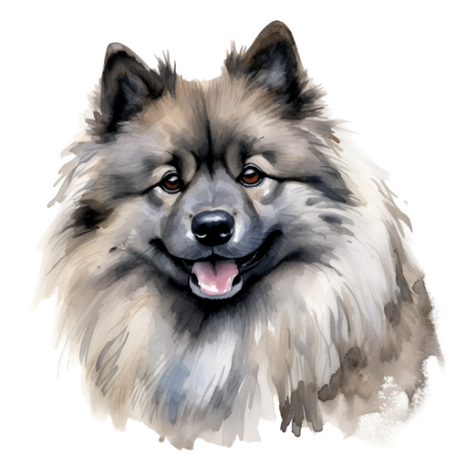 Keeshond (4) Poster Canvas Print Art Painting Decor Reprint wall A0 A1 A2 A3 A4