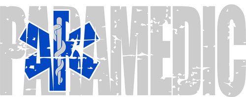 Paramedic distressed (2) Poster Canvas Movie Film Print A0 A1 A2 A3 A4 A5 A6 Art