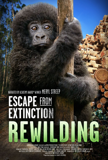 Escape from Extinction Rewilding (2024)_0 Movie Film Poster Canvas iconic design