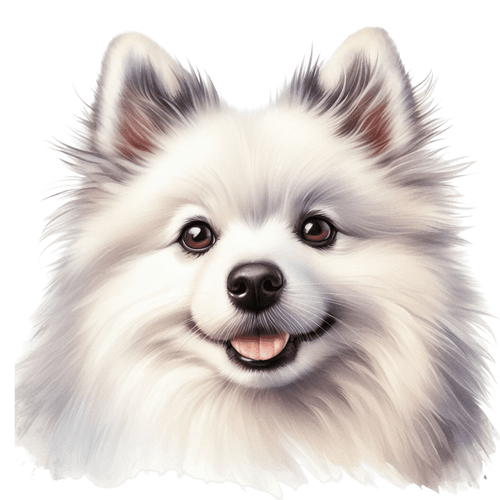 231 American Eskimo Dog Poster Canvas Movie Film Print A0 A1 A2 A3 A4 A5 A6 Art