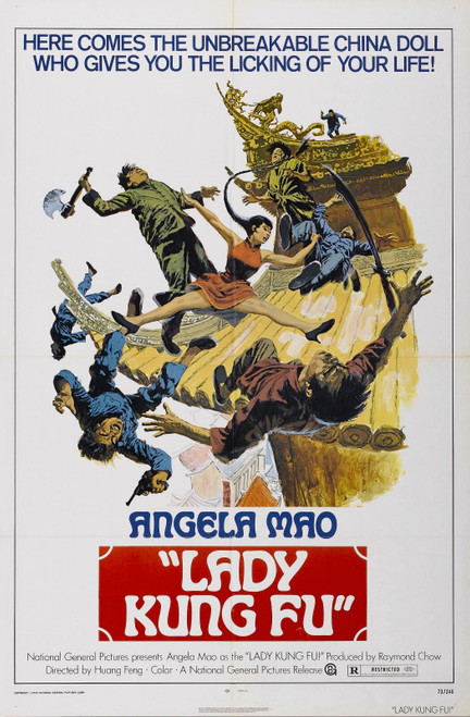 Lady Kung Fu 01 Poster Canvas Movie Film Print A0 A1 A2 A3 A4 A5 A6 Art Wall Dec
