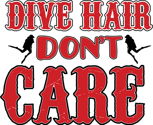 Dive hair don't care (2) Poster Canvas Movie Film Print A0 A1 A2 A3 A4 A5 A6 Art