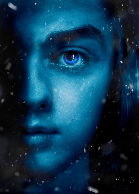 Game of Thrones (41) Poster Canvas Movie Film Print A0 A1 A2 A3 A4 A5 A6 Art Wal