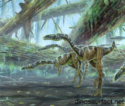 Coelophysis Poster Canvas Movie Film Print A0 A1 A2 A3 A4 A5 A6 Art Wall Decorat
