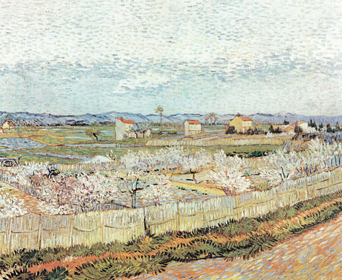 The plain of la Crau with orchard of peach trees 1889 Van Gogh