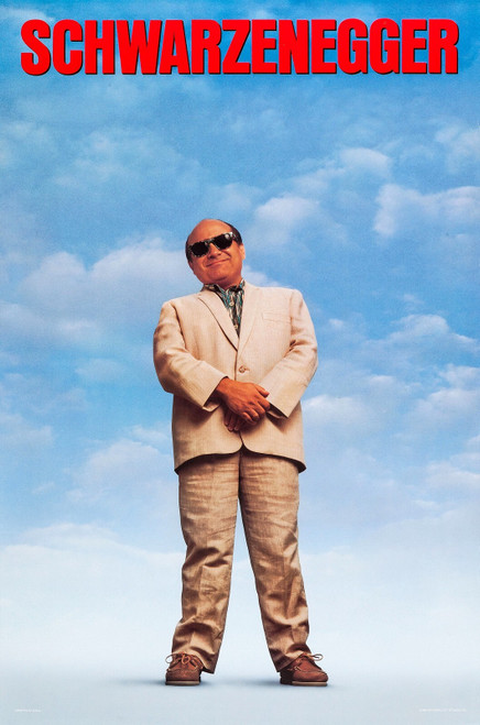 Twins (1988)_2 Poster Canvas Movie Film Print A0 A1 A2 A3 A4 A5 A6 Art Wall Deco