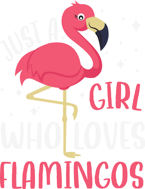 A220318-22-Just-A-Girl-Who-Loves-Flamingos (2) Poster Canvas Movie Film Print A0