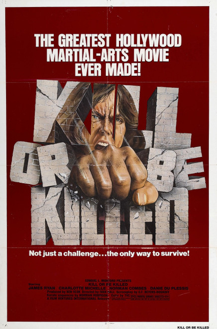 Kill Or Be Killed 01 Poster Canvas Movie Film Print A0 A1 A2 A3 A4 A5 A6 Art Wal