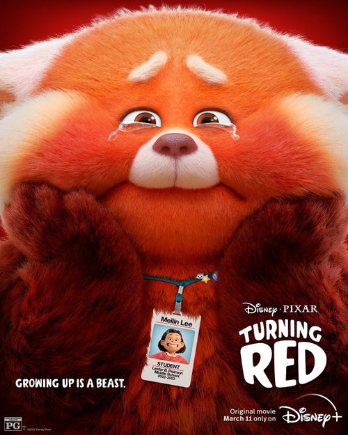 Turning Red 6 Poster Canvas Movie Film Print A0 A1 A2 A3 A4 A5 A6 Art Wall Decor