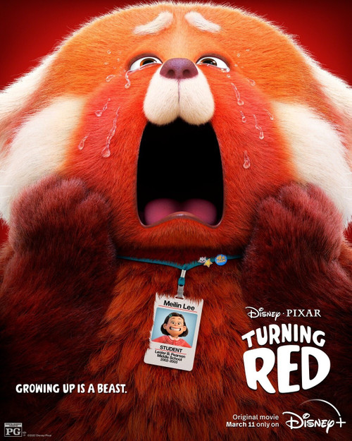 Turning Red (2022)_11 Poster Canvas Movie Film Print A0 A1 A2 A3 A4 A5 A6 Art Wa