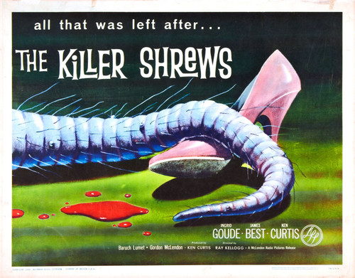 Killer Shrews 02 Poster Canvas Movie Film Print A0 A1 A2 A3 A4 A5 A6 Art Wall De