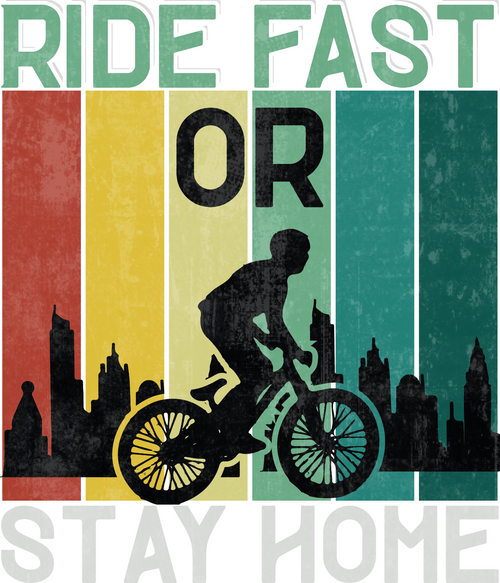 Ride Fast or Stay Home Poster Canvas Movie Film Print A0 A1 A2 A3 A4 A5 A6 Art W