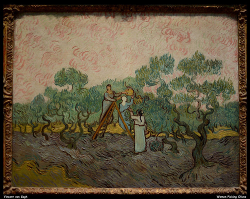vincent-van-gogh---women-picking-olives--jpb_20719838955_o(1) Poster Canvas Movi