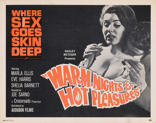 Warm Nights Hot Pleasures 01 Poster Canvas Movie Film Print A0 A1 A2 A3 A4 A5 A6