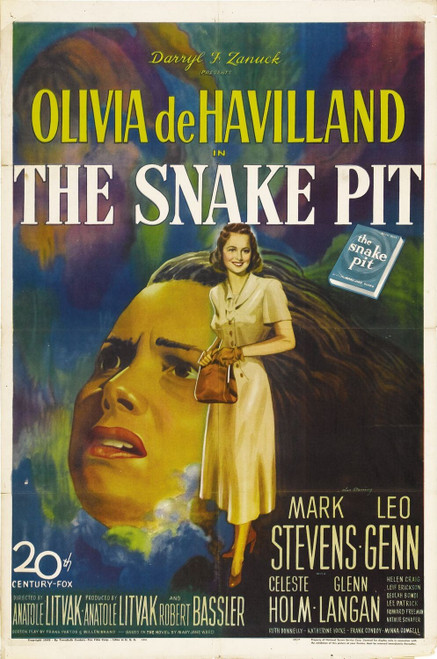 The Snake Pit (1948)_1 Poster Canvas Movie Film Print A0 A1 A2 A3 A4 A5 A6 Art W