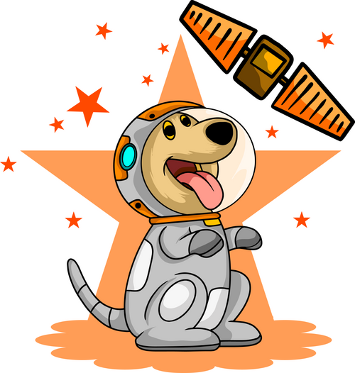 Animal 25 Fun Gift Poster Canvas Print A0 A1 A2 A3 A4 A5 A6 Art Wall Decoration