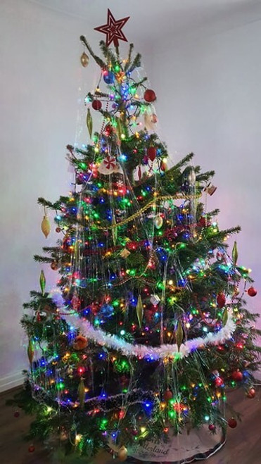 80337072_2442007676022047_2451116597213921280_n Art Gallery Poster Canvas Print