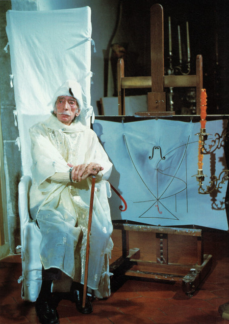 Salvador Dali - In front of swallows tail Poster Canvas Movie Film Print A0 A1 A