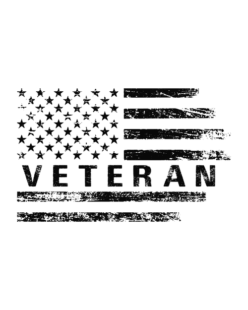 Veteran-03 (2) Poster Canvas Movie Film Print A0 A1 A2 A3 A4 A5 A6 Art Wall Deco