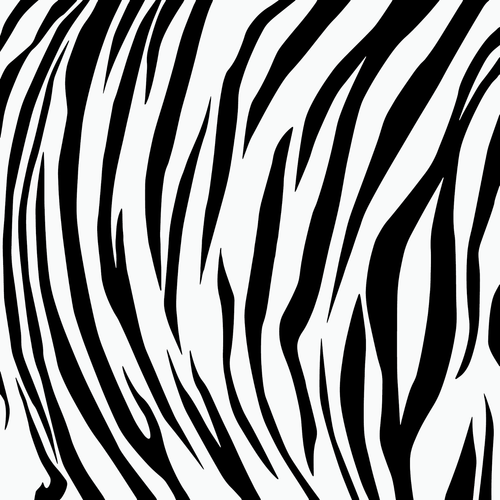 White tiger-01 Poster Canvas Movie Film Print A0 A1 A2 A3 A4 A5 A6 Art Wall Deco