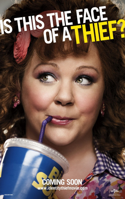 Identity Thief (2013)_2 Poster Canvas Movie Film Print A0 A1 A2 A3 A4 A5 A6 Art